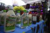 Controversia por suspensión de venta de viche, licor ancestral, en Bogotá