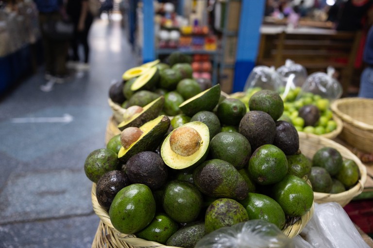 ¿Influye dónde se cultiva el aguacate en su valor nutricional? Este estudio tiene respuestas