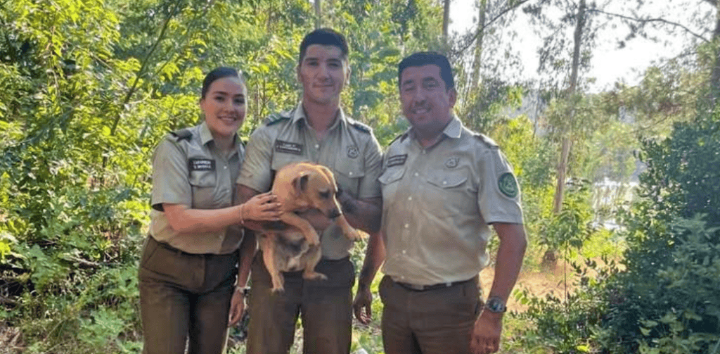 El canino duró atrapado más de 7 horas, en la madriguera de conejos.