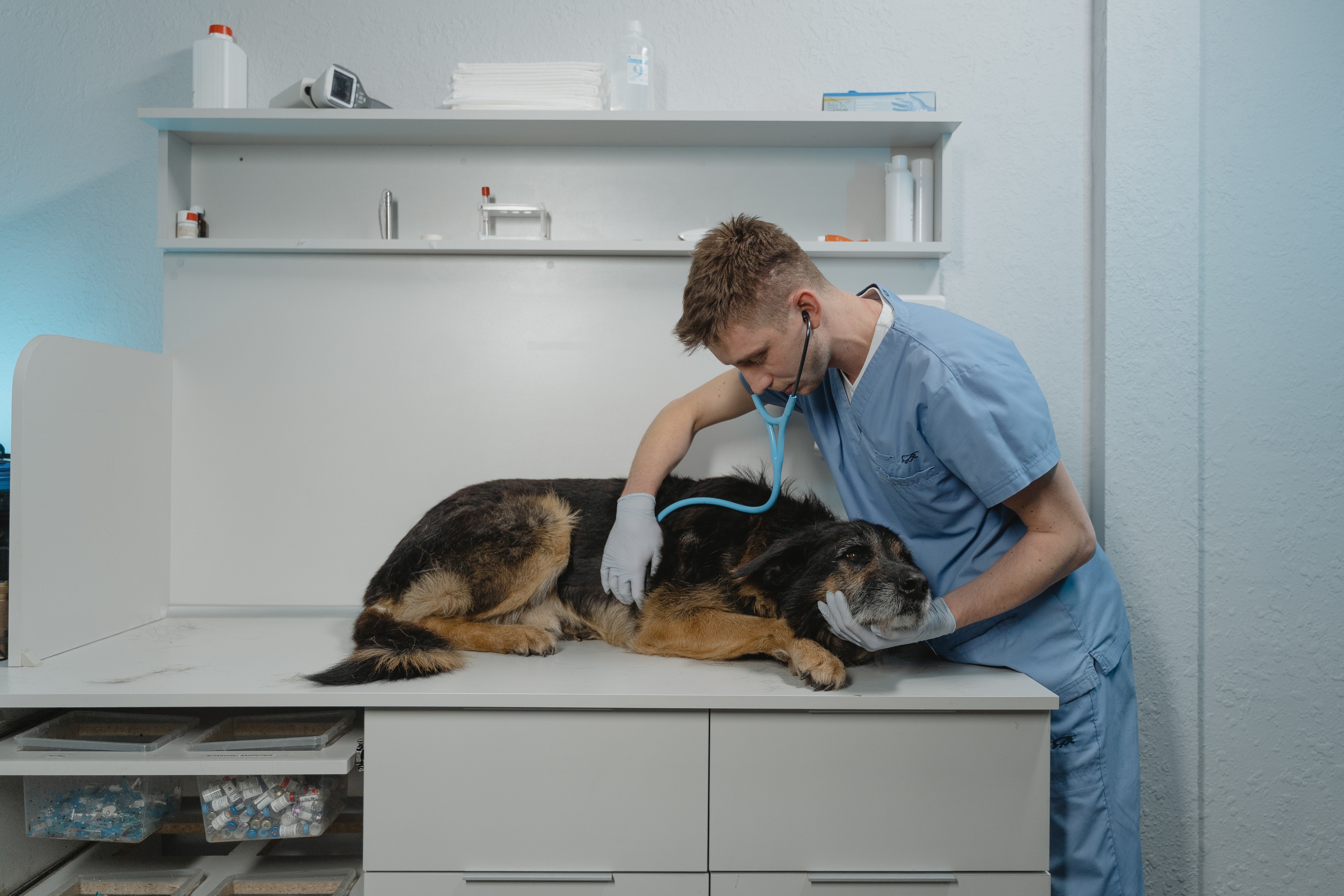 ¿Cuánto es el salario de un médico veterinario en Colombia?
