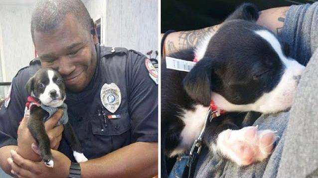 Policía que respondió a una llamada de un refugio terminó adoptando a un perrito