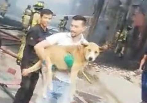 Hombre arriesgó su vida para salvar a un perrito del voraz incendio en Meissen
