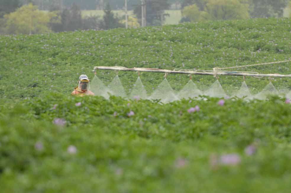 El convenio 052 de 2009 de Agro Ingreso Seguro permitió la asignación de recursos públicos para financiar proyectos de riego y drenaje, que terminaron beneficiando a familias adineradas. /