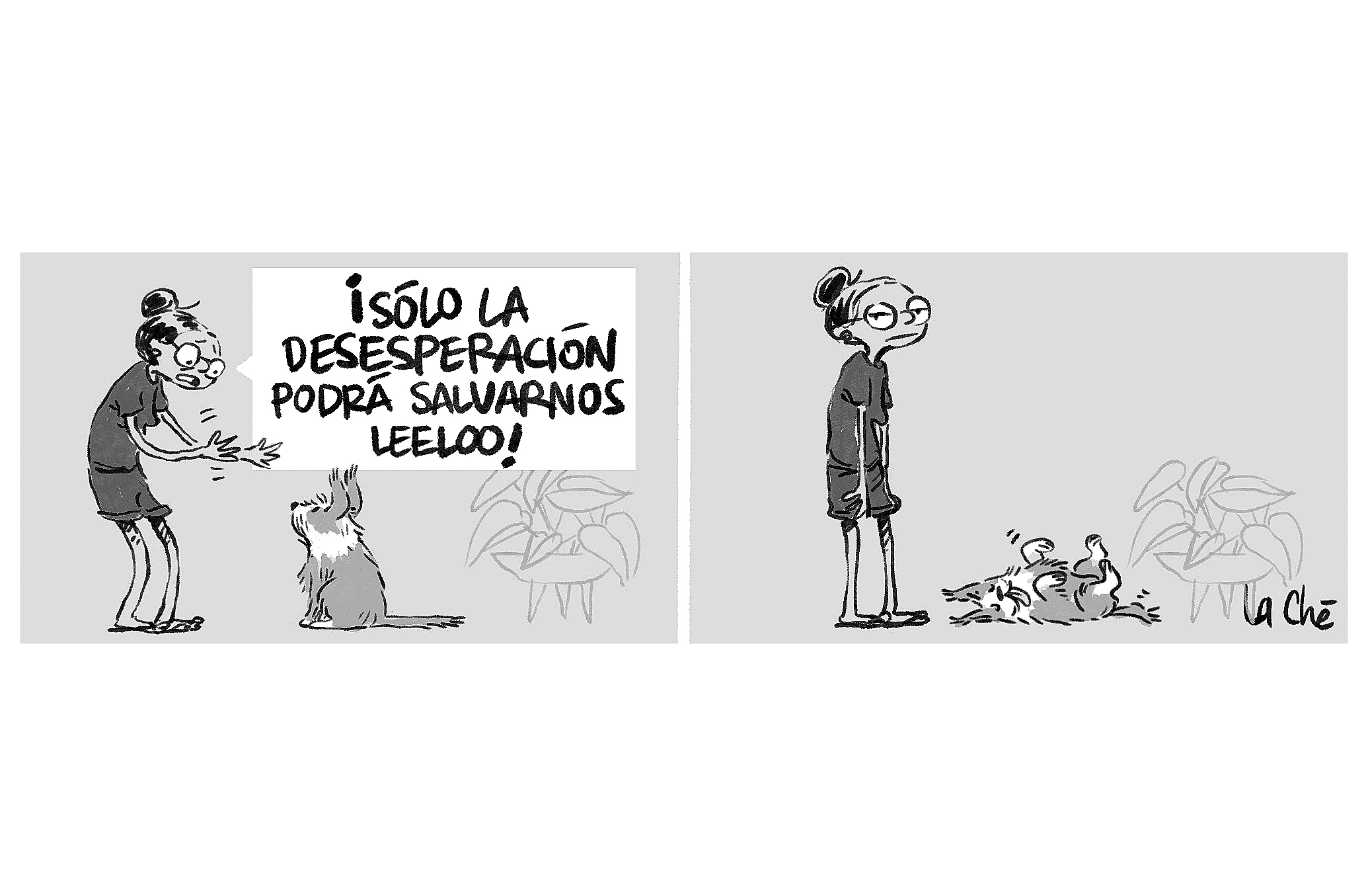 Caricaturas