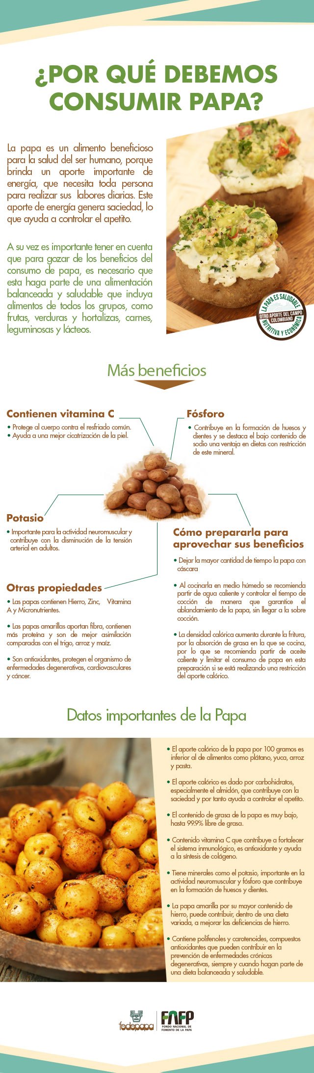 ¿Por qué debemos consumir papa?