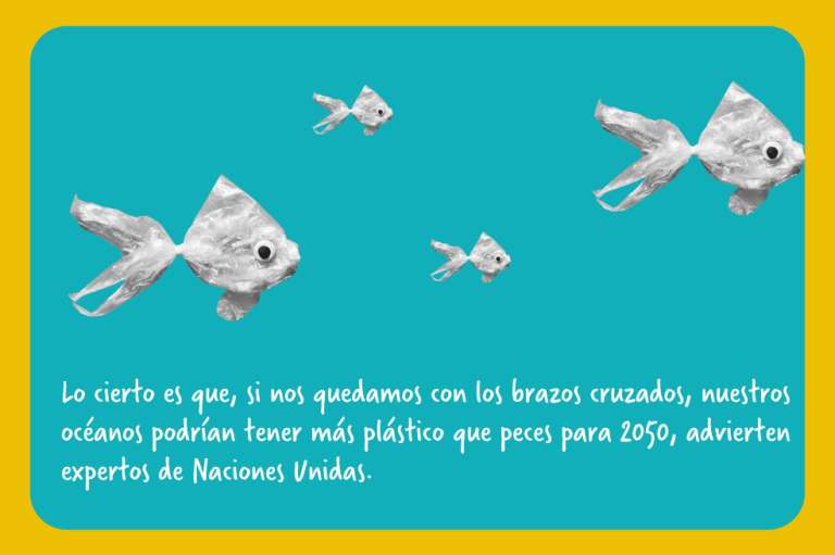 ¿Más plástico que peces para 2050?