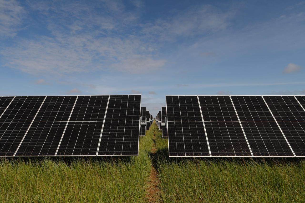 El proyecto contará con 159.780 módulos fotovoltaicos.