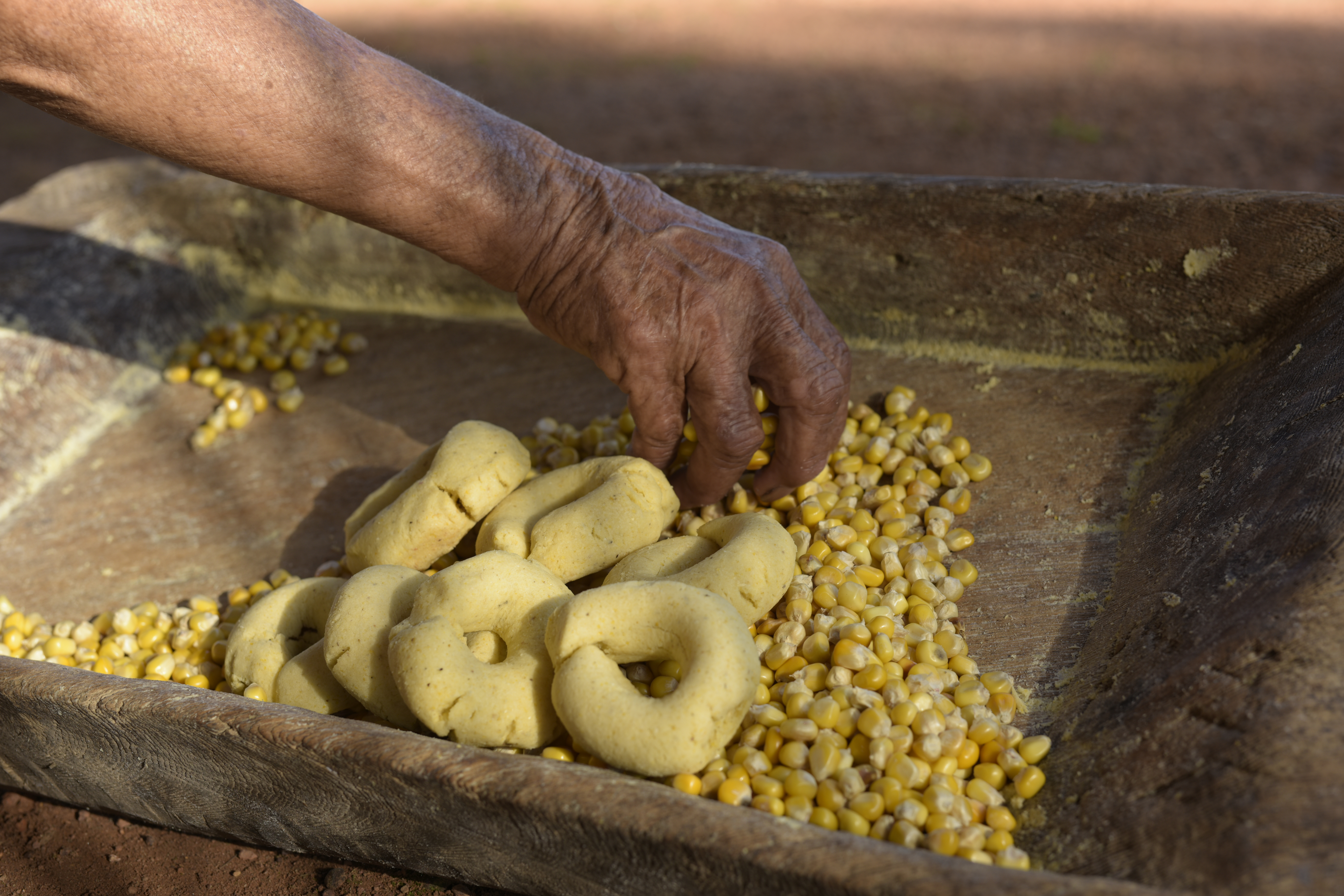 Alimento tradicional amazónico