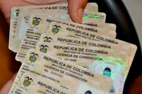 Cae red que expidió más de 50 mil certificados falsos de conducción