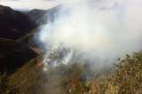 ¿Por qué arde África?