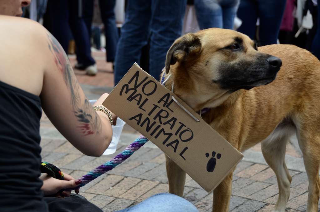 Marchas desde la Plaza de Bolívar hacia la Plaza de Toros La Santamaría en contra del maltrato animal.