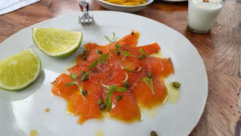 Receta para preparar gravlax de trucha del altiplano