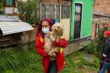 Rescatan a 35 animales de un presunto criadero ilegal en Ciudad Bolívar