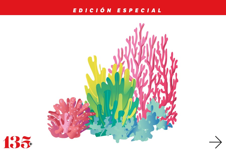 ESPECIAL 135 AÑOS