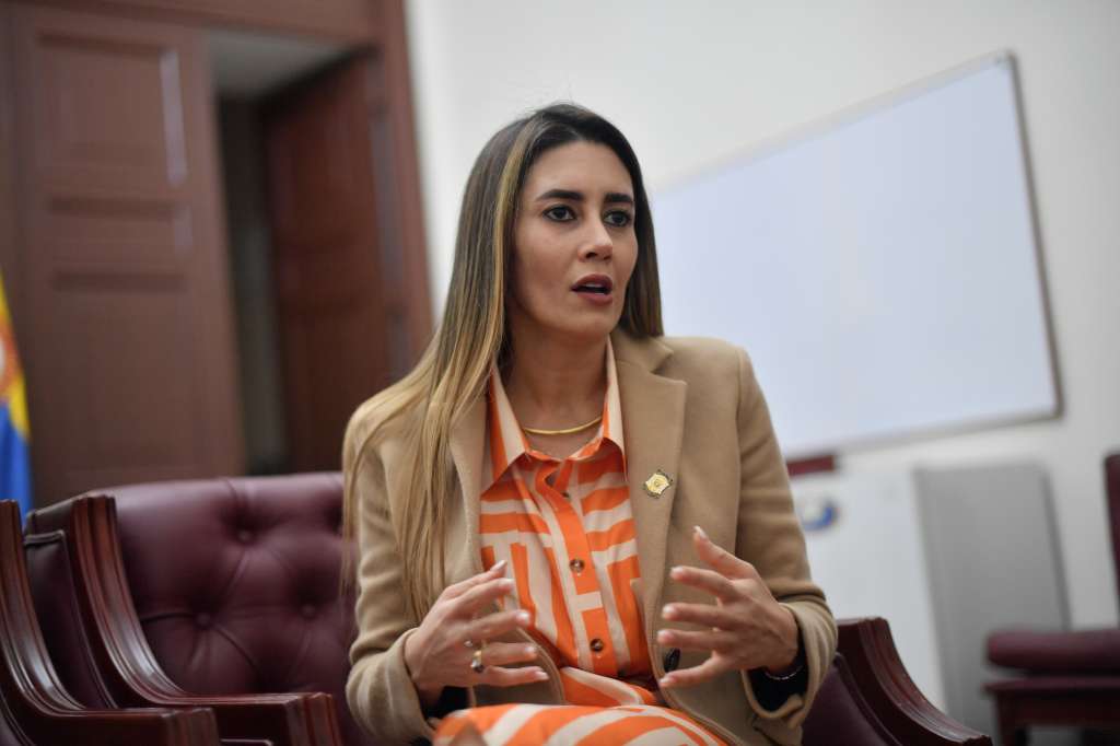 Segunda vicepresidenta de la Cámara de Representantes, elegida por la Liga de Gobernantes Anticorrupción