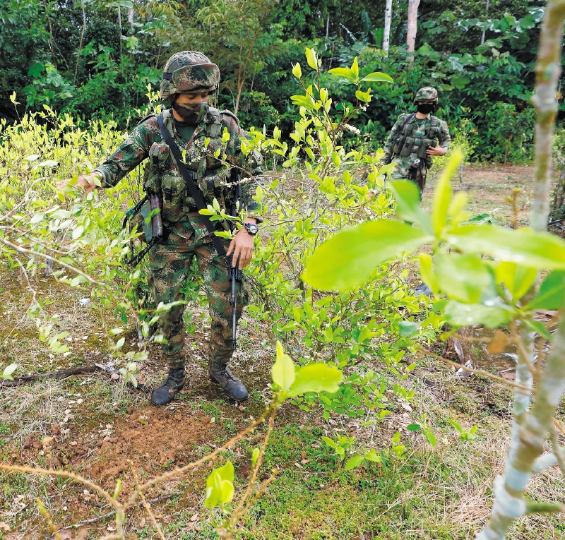 La Operación Artemisa es la iniciativa con la que el gobierno de Iván Duque quiso enfrentar la deforestación.