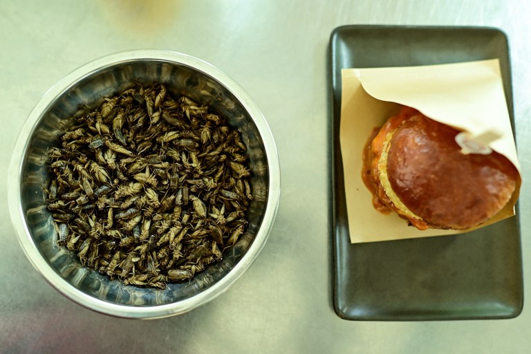 Grillos, ¿nueva carne para hamburguesa?