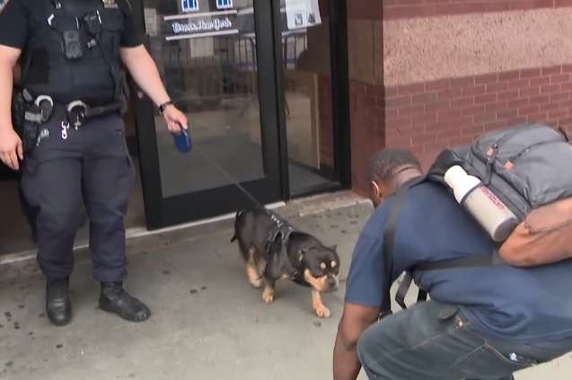 Perrito robado se reencuentra con su dueño: así fue el emotivo momento