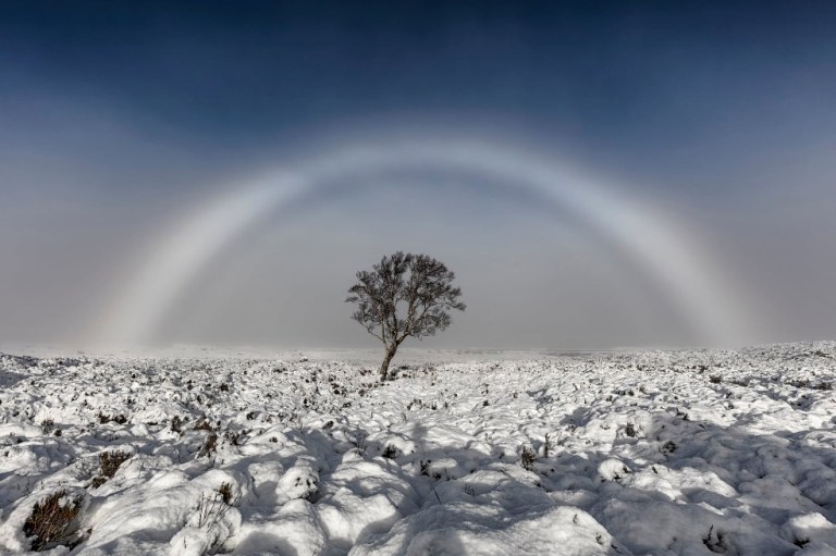 Fogbow de Melvin Nicholson fue tomada en Escocia. Muestra el momento en el que el Sol quema la niebla.
