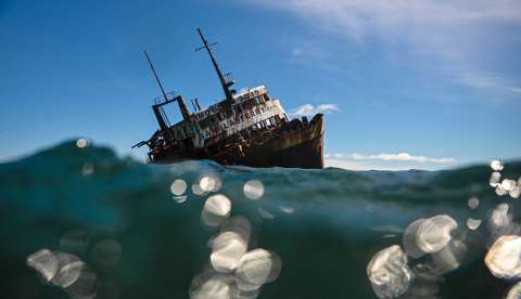 El Tratado de Alta Mar, clave para proteger la vida marina, entra en vigor