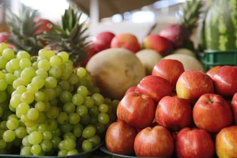 No se incluirán alimentos perecederos en los mercados solidarios: IPES