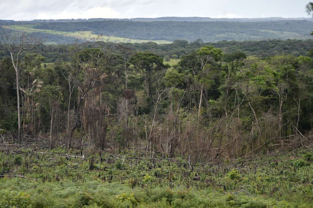 Deforestación en el departamento del Meta