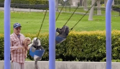 (Video) Abuelito conmueve a usuarios en redes al jugar con sus perros en un parque