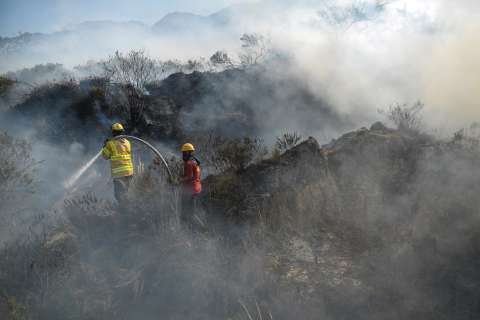 Incendios forestales en Colombia: hay 29 focos activos y una nueva conflagración en el Amazonas