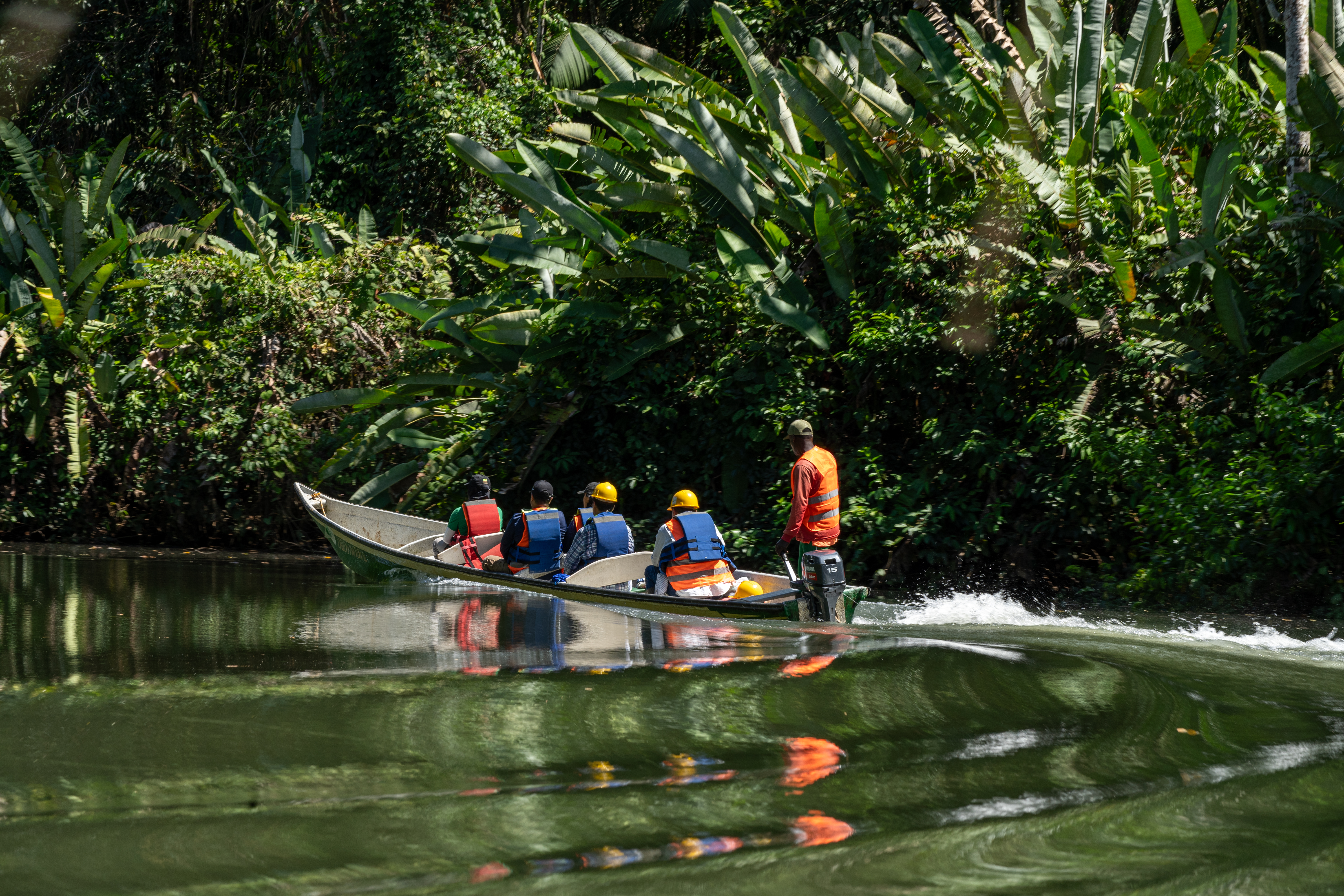 El programa de paz que impulsó más de 200 proyectos agroambientales en Colombia.