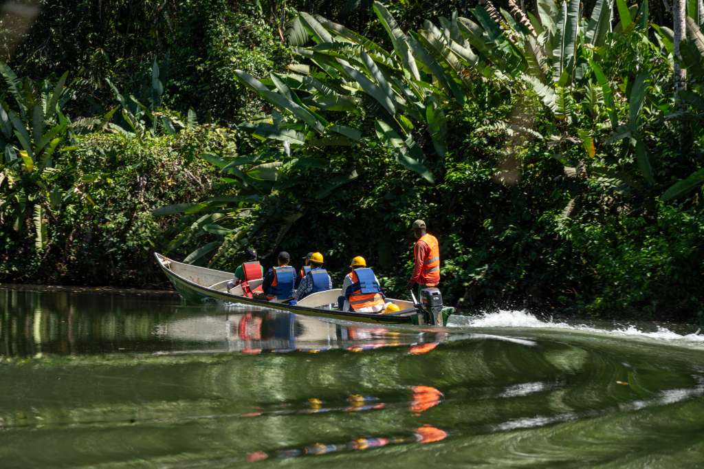 El programa de paz que impulsó más de 200 proyectos agroambientales en Colombia.