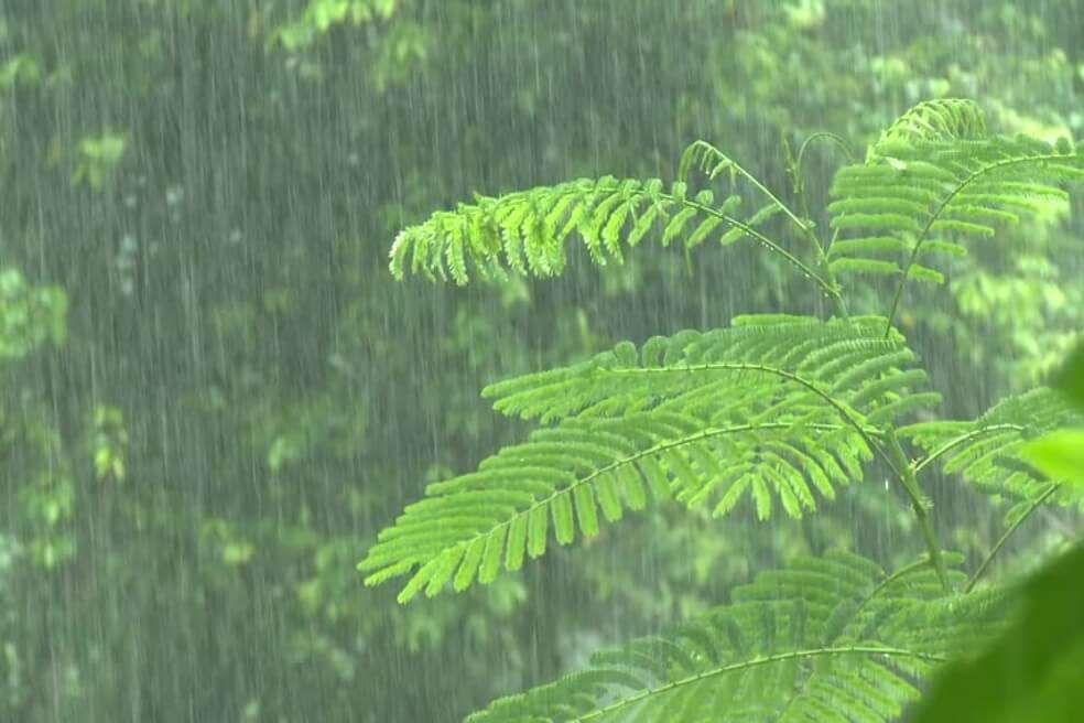 Los cazadores se recuperaron rápidamente una vez que la lluvia volvió a un patrón relativamente estable hace unos 6.000 años. / Shuteerstock