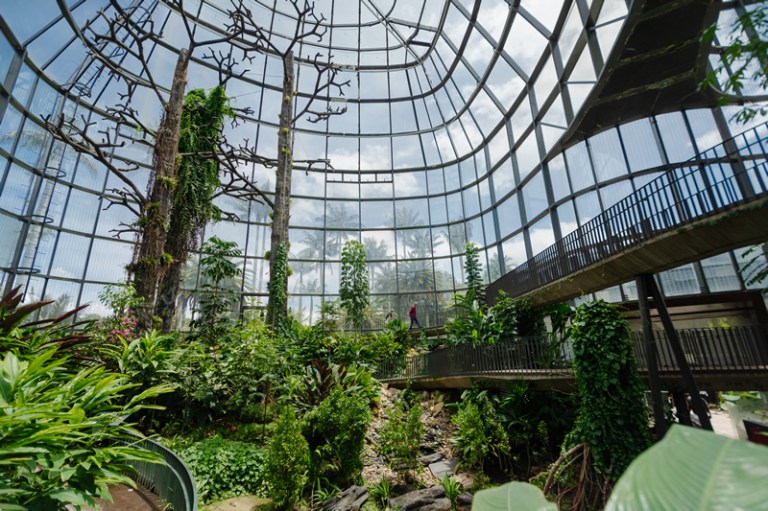 Prográmese para el Festival Estéreo Botánico en Bogotá: actividades y artistas invitados