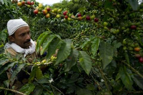Esta sería la primera reparación colectiva de una organización campesina en el mundo