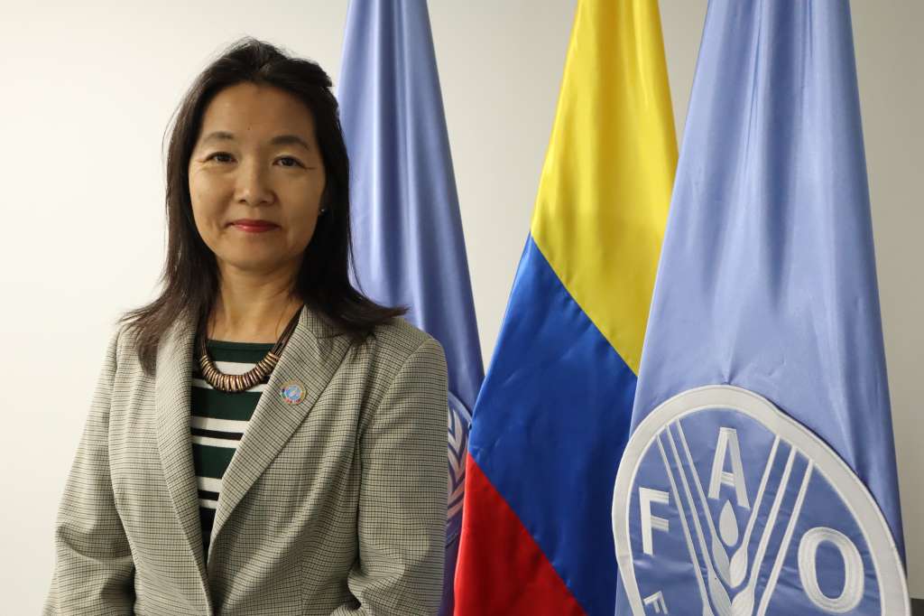 Maya Takagi, pepresentante ai. FAO en Colombia.
