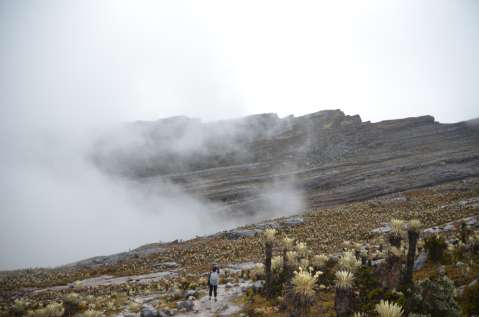 ¿Cuáles son las montañas más altas de Colombia y cómo visitarlas?