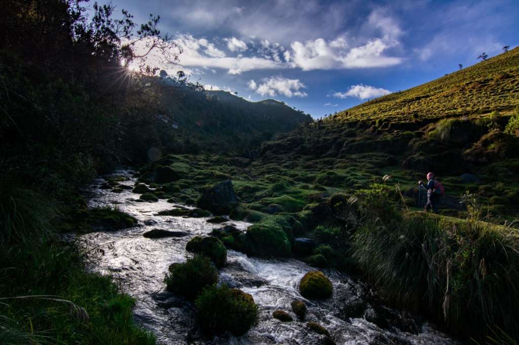 Uno de los atractivos de Filandia, Quindío, la Reserva Natural Barbas Bremen.