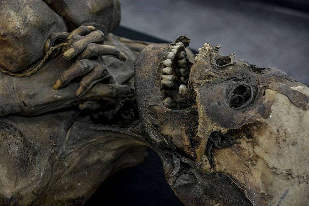 La investigación se desarrolla en el marco del semillero “Condiciones de vida de las sociedades prehispánicas de Colombia. Bioarqueología y cambio social”. / UNAL
