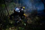 Bomberos de Bogotá controlan dos incendios en el sur de la capital