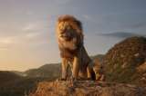 "El rey león", se conocen nuevas imágenes de la cinta