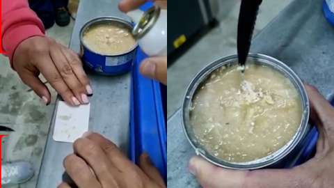 Más cocaína oculta en latas de atún: España desmantela otra red de narcotráfico