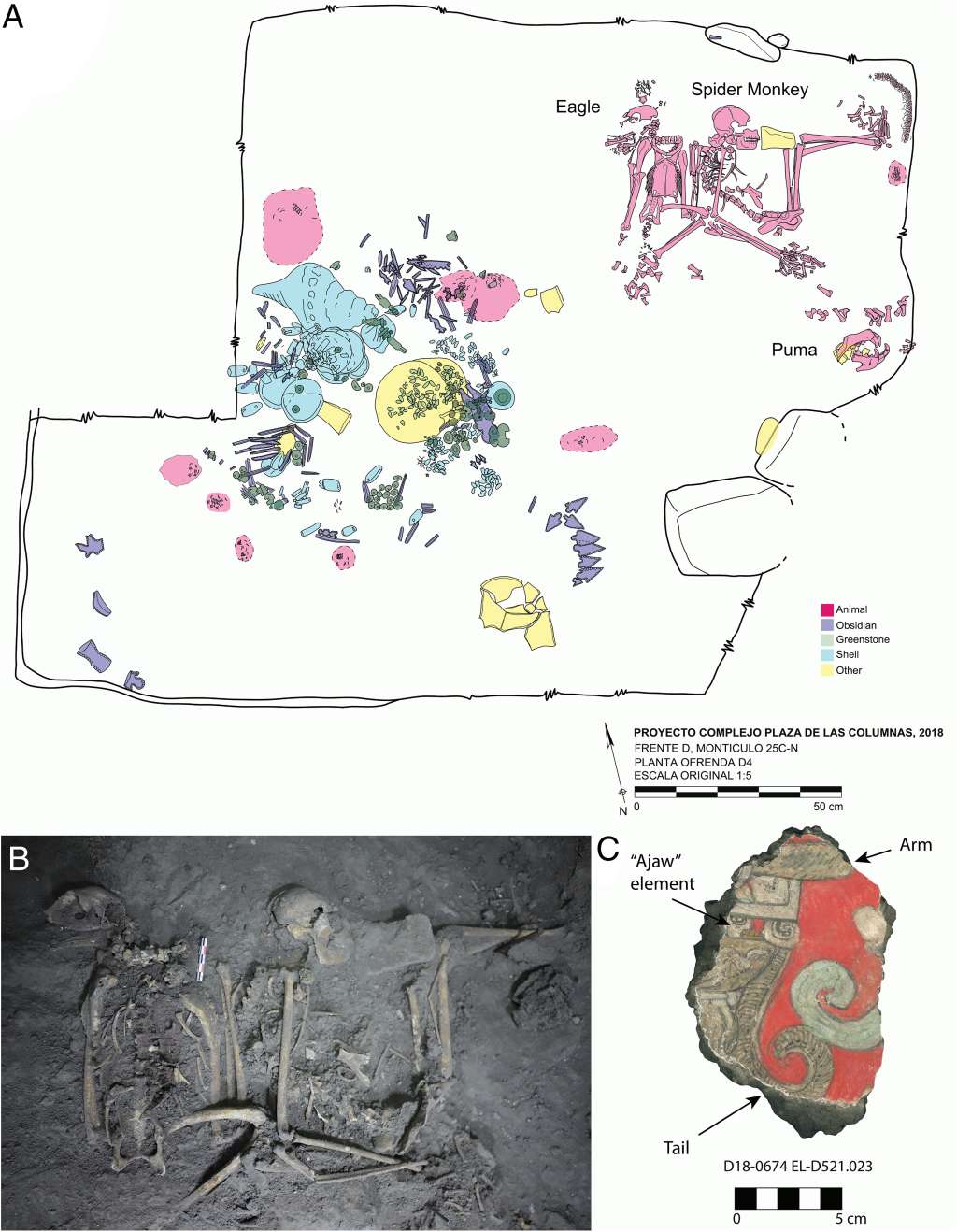 Este mapa muestra donde fueron encontrados los restos de animales.