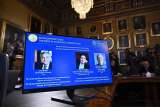 ¿Qué piensan los Nobel de Economía 2025 sobre el crecimiento económico?