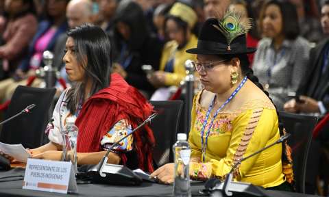 La abogada indígena que le habló a la Asamblea General de la OEA