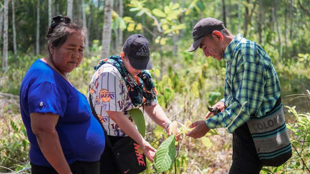 La bioeconomía se establece como uno de los mecanismos de sostenibilidad de modelos innovadores en el agro y la conservación.