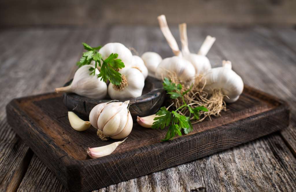 Uno de los ingredientes más usados en la gastronomía llega para conquistar tu mesa.