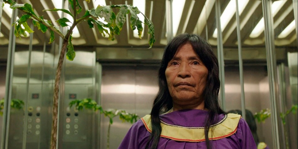 Icaros, una visión espiritual del Yagé