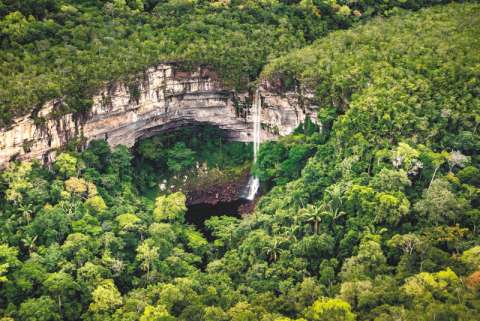¿Por qué es urgente que el próximo gobierno proteja la Amazonia?