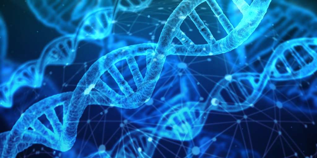 El ADN se encuentra en el núcleo de las células y, al parecer, tiene una organización allí dentro. / Pixabay