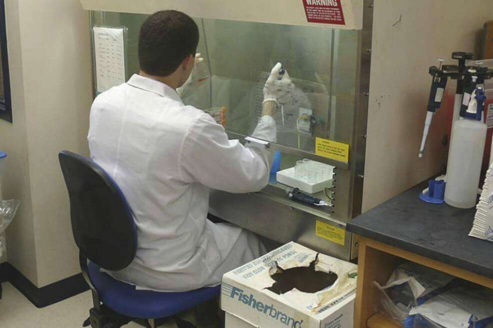 Un microbiólogo trabajando con parásito Leishmania en un laboratorio bajo condiciones de biocontención categoría 2. / TimVickers / Wikimedia.
