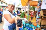 Festival Estéreo Picnic abre convocatoria para emprendedores de Cundinamarca